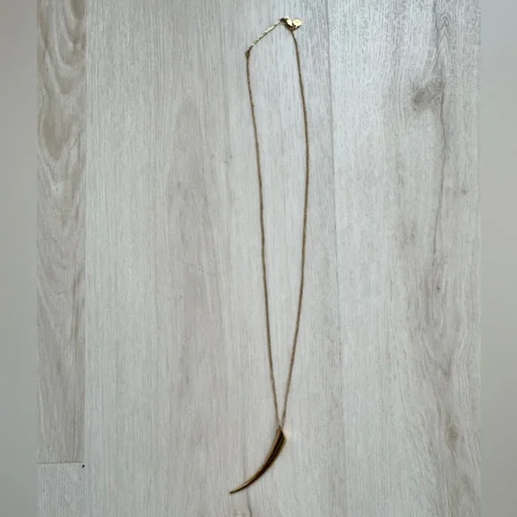 Michael Kors Long Horn Pendant Necklace - Picture 4 of 5